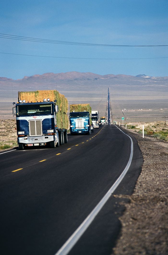 Line of semi-trucks driving on a desert highway near Fallon, Nevada, under a clear blue sky.